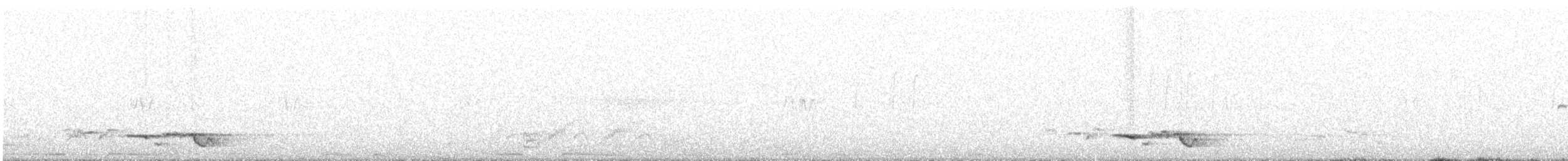 ニシコウライウグイス - ML638682297