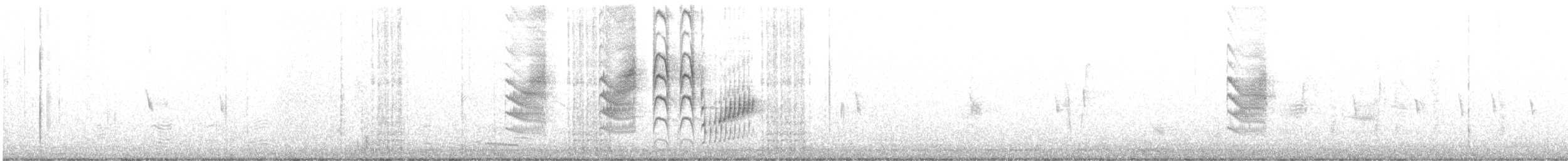 Bubbling Cisticola - ML638682458
