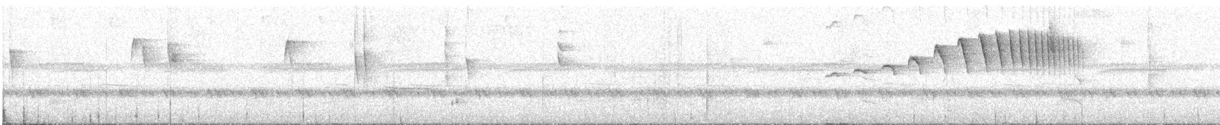 Rufous-rumped Antwren - ML638683738