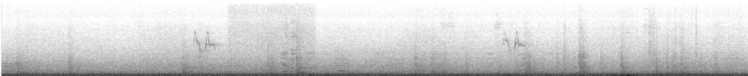 Bergeronnette grise - ML638684071