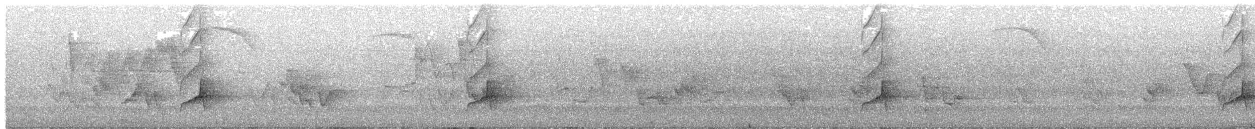 Great Crested Flycatcher - ML638685574