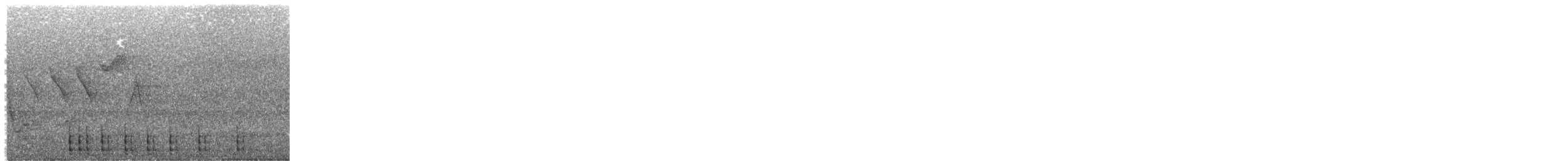 Yellow-bellied Sapsucker - ML638686208