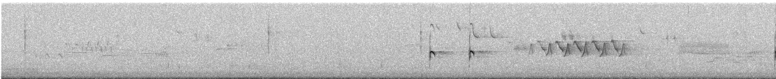 Spotted Sandpiper - ML638686628