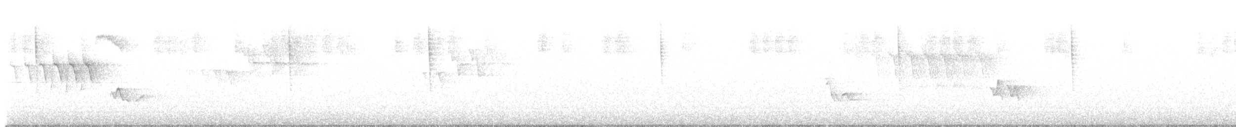 Red-eyed Vireo - ML638687707