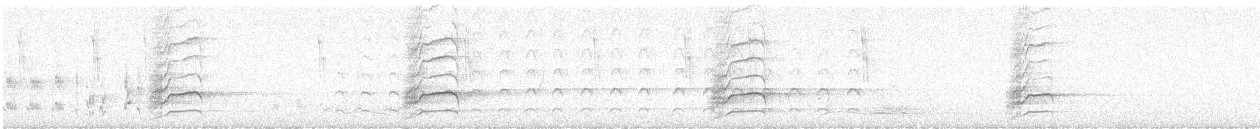 Méliphage à oreillons bleus - ML638689636