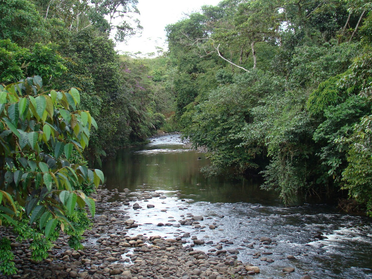 null - ML638690381
