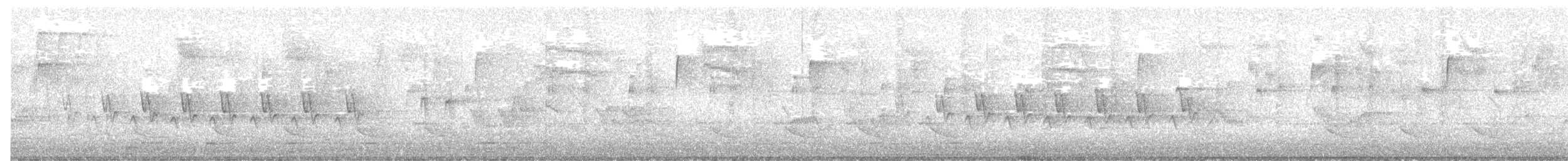 kentuckyparula - ML638691035