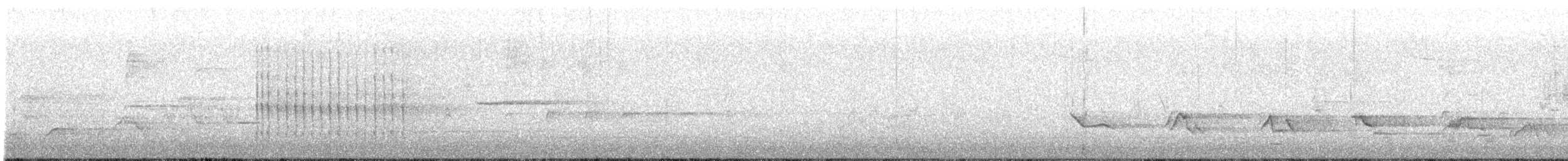 Belted Kingfisher - ML638692996