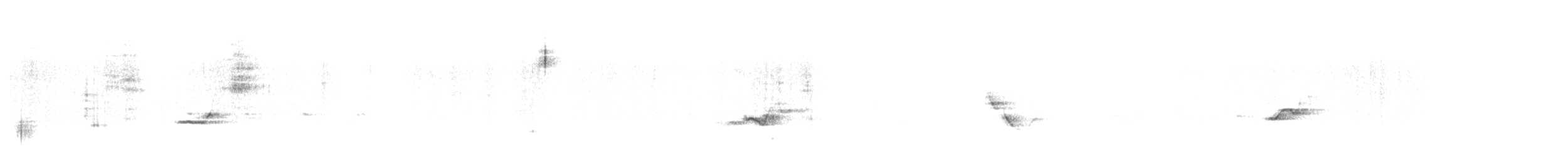 フタスジモズモドキ - ML638694521