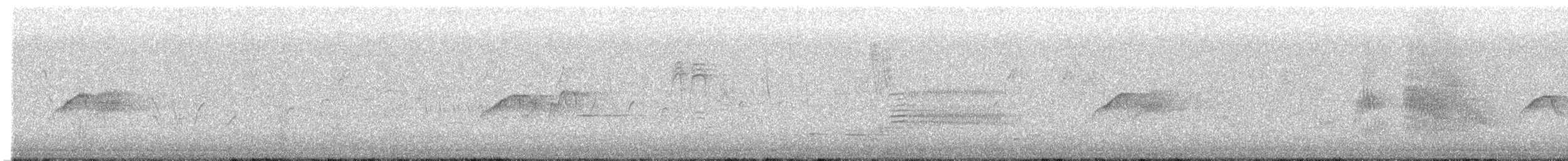 gråfibi - ML638694977