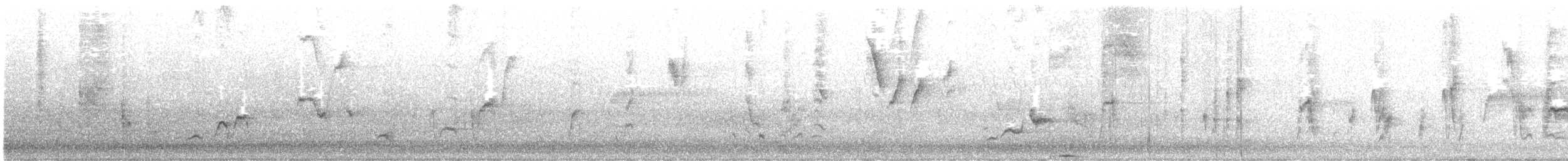 ネコマネドリ - ML638695873