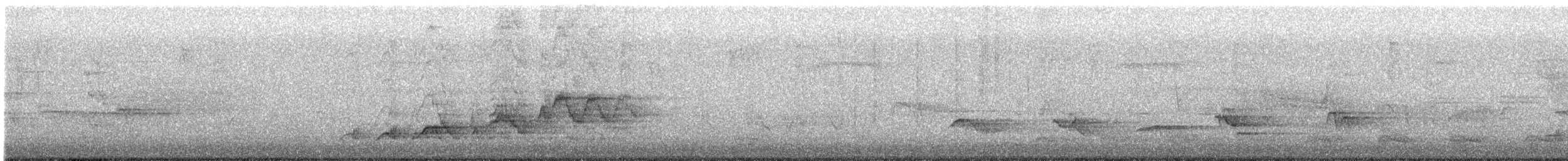 Zorzalito de Swainson - ML638696081