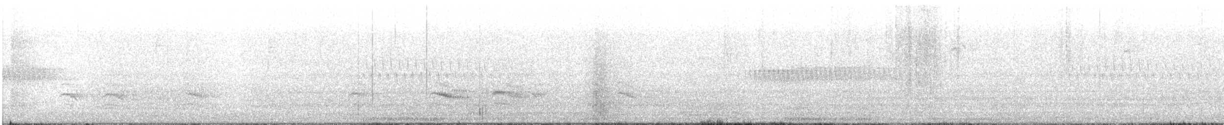 Weißbrustkleiber (aculeata/alexandrae) - ML638696132