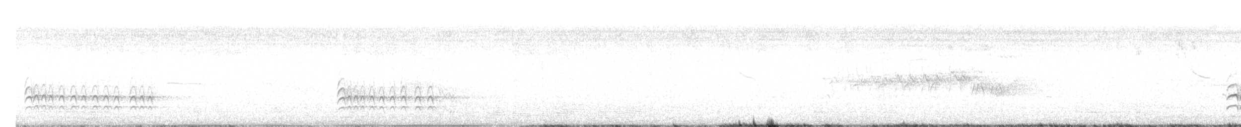 Weißbrustkleiber - ML638697731