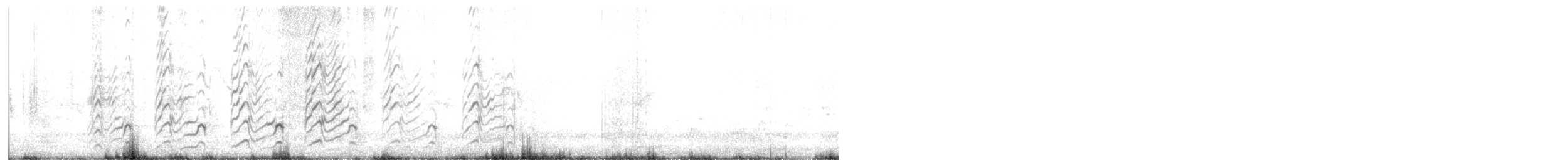 White-tailed Lapwing - ML638700492