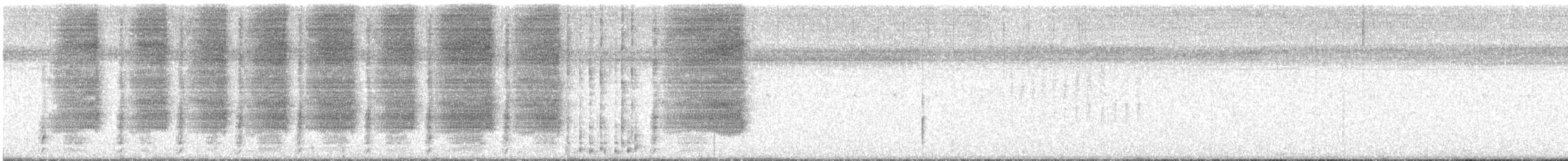 Boat-tailed Grackle - ML638700494