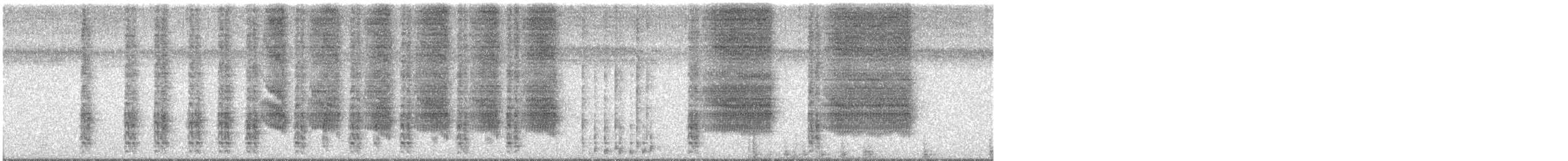 Boat-tailed Grackle - ML638700498