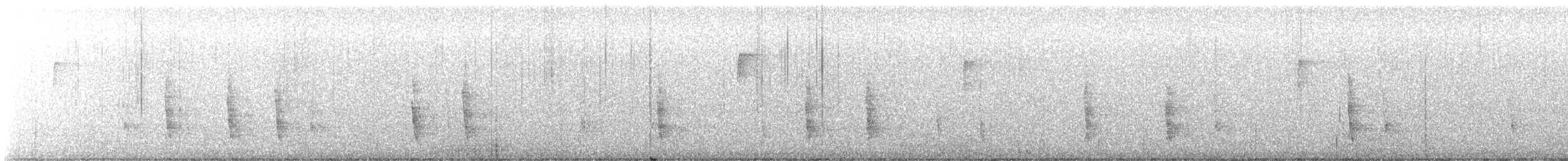Einsiedler-Musendrossel - ML638702125
