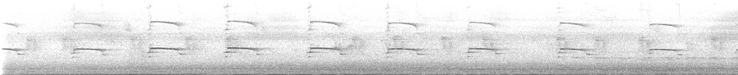 Yellow-legged Gull - ML638703090