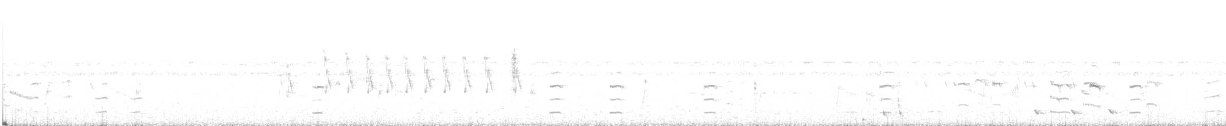 ギンパラ - ML638703321