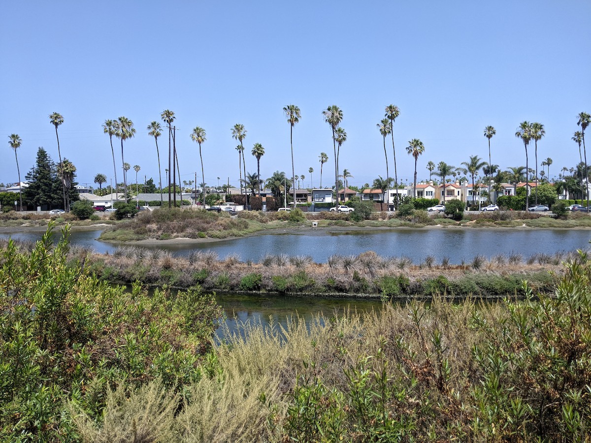 null - ML638704323