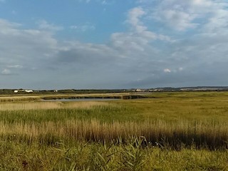Cliffe Pools RSPB Reserve, Kent, England, United Kingdom - eBird Hotspot