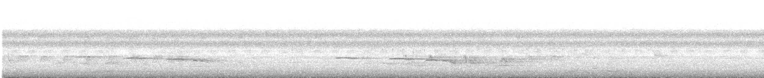 Plaintive Cuckoo - ML638705553