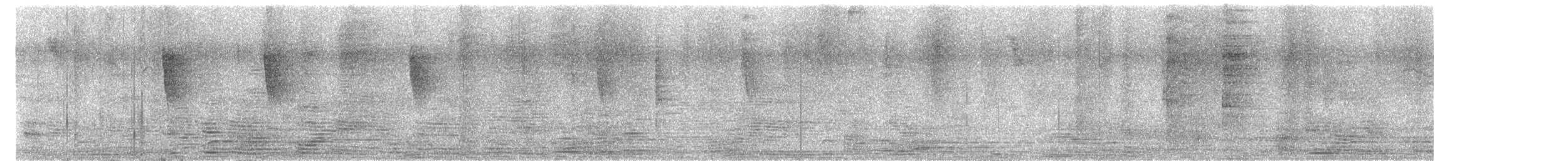 Bay-breasted Warbler - ML638706495