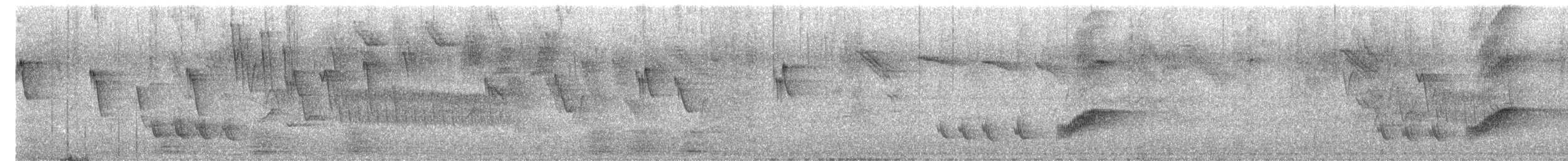 Tropical Mockingbird - ML638707118