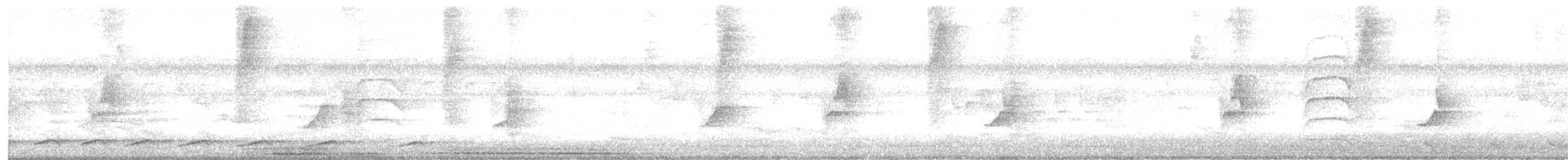 Slaty-backed Forest-Falcon - ML638707487