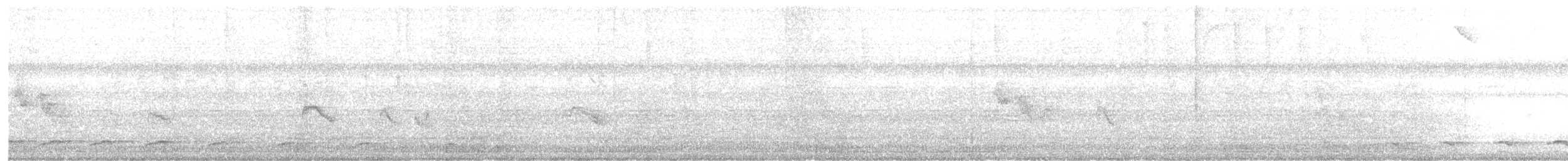 Slaty-backed Forest-Falcon - ML638707500
