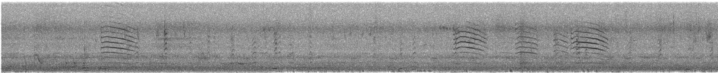 カノコスズメ - ML638707640