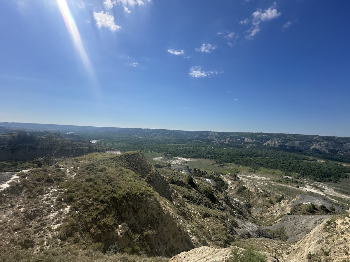 null - ML638707668