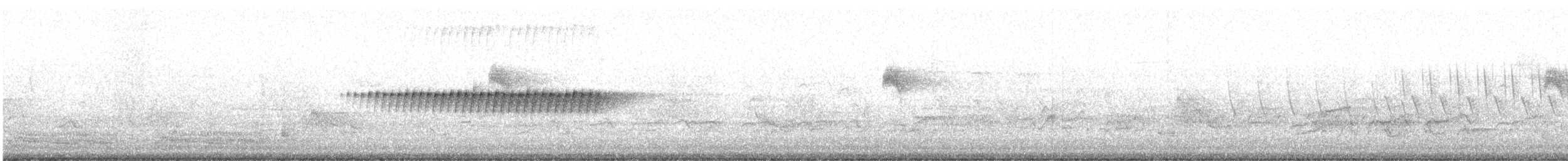 Pine Warbler - ML638709957