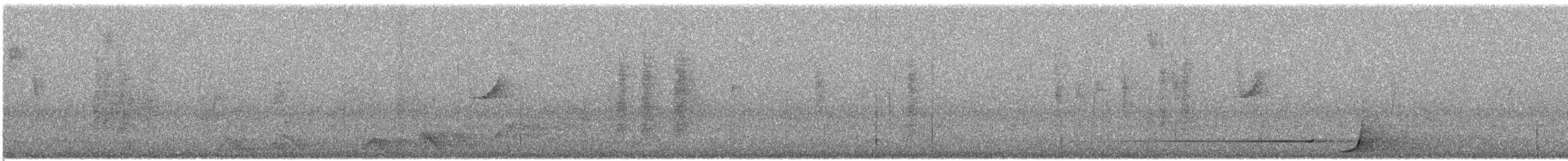 Albert's Lyrebird - ML638710461