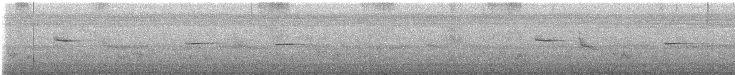 タカサゴミソサザイ - ML638711558