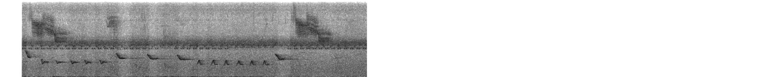 Black-striped Sparrow - ML638712458