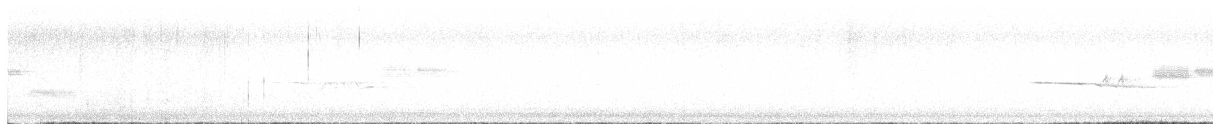 White-crowned Sparrow - ML638712996