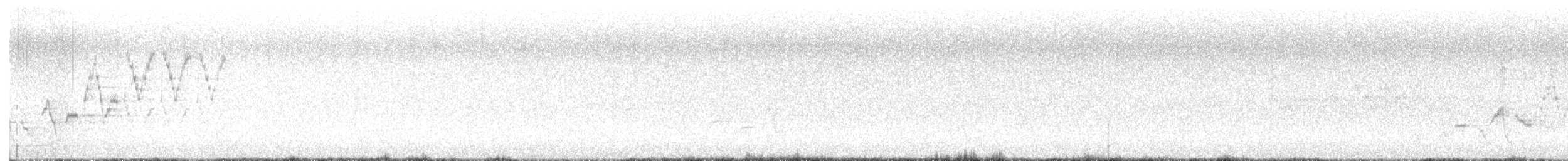 Zorzalito de Swainson - ML638714049