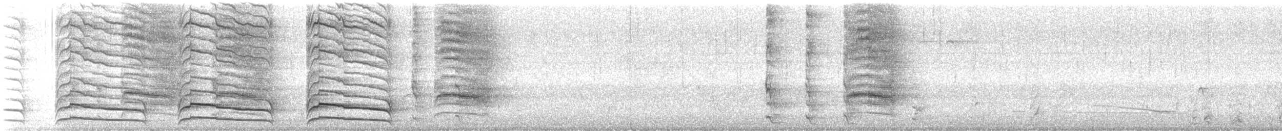 Red-shouldered Hawk - ML638714263