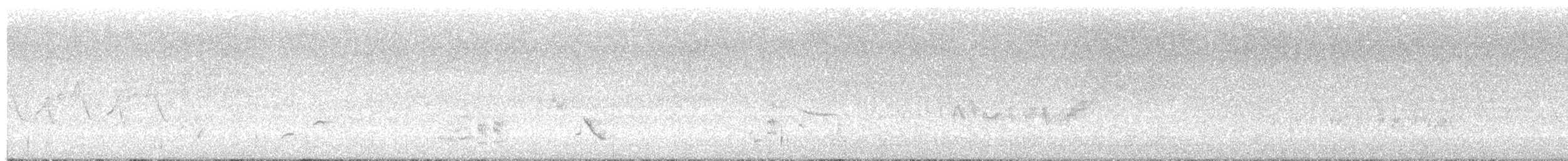 Bell's Vireo - ML638719446