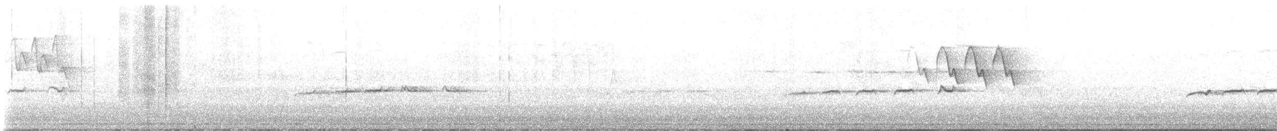 Dindon sauvage - ML638719615