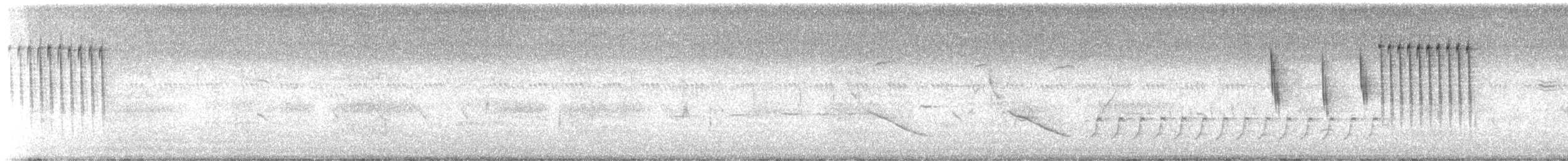 Sedge Wren - ML638720269