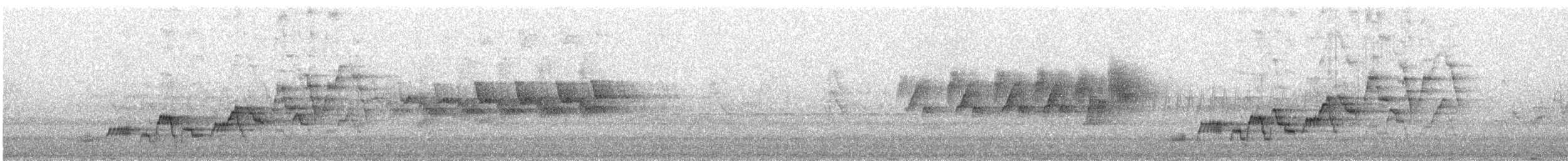 Zorzalito de Swainson - ML638720534