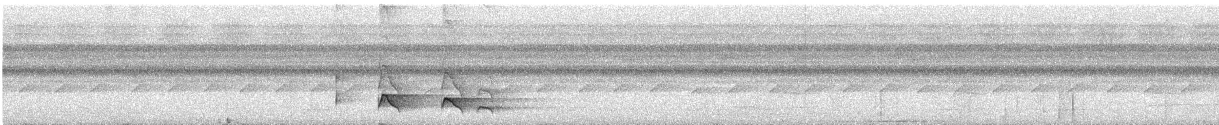 Brownish Twistwing - ML638721470