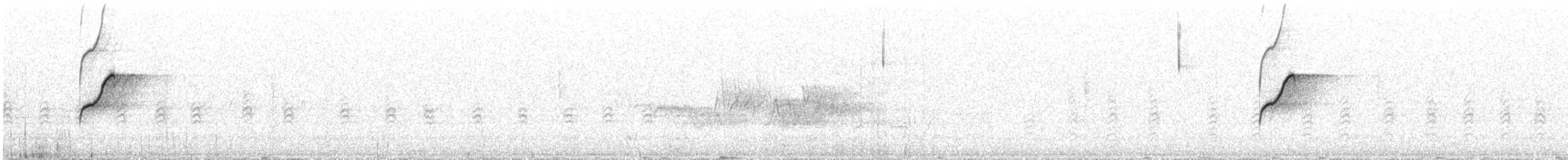 Western Flycatcher - ML638721681
