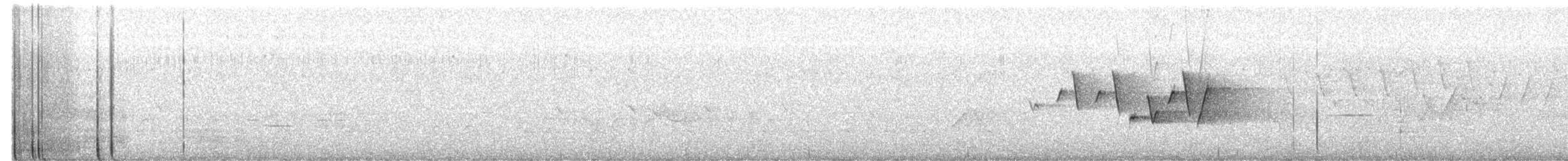 Connecticut Warbler - ML638722304