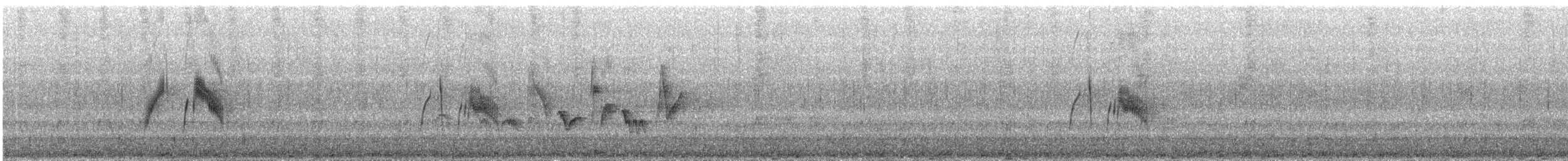 メジロハエトリ - ML638722319