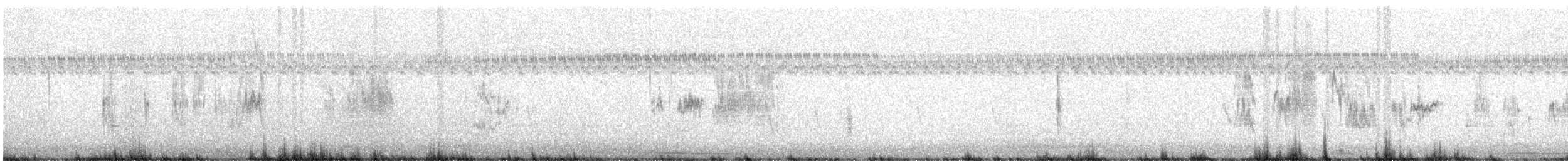 ハマヒメドリ - ML638722436