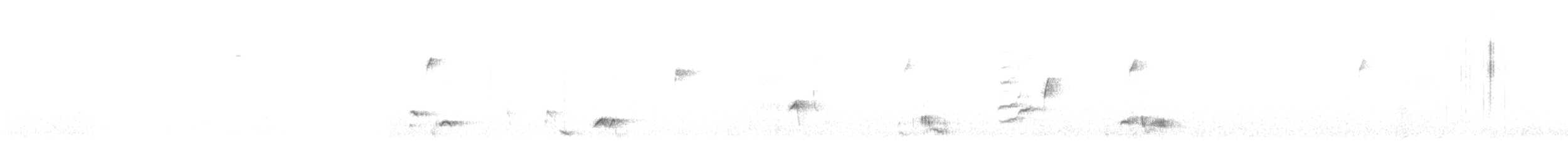 ネコマネドリ - ML638722443